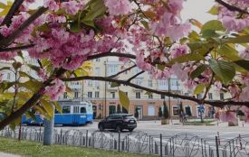 Коли на Вінниччині очікувати потепління? Синоптик дала прогноз
