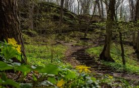 Інвестор вимагає від облради скасувати рішення про заказник «Гора Лисківка»: які аргументи?