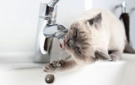 Без світла і води: де у Вінниці 23 квітня будуть відключення