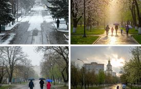 Спека, холод та посуха були у квітні 2025 — підсумки погоди на Вінниччині