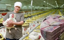 Вінниччина заробила найбільше в агросекторі — майже 293 мільярди гривень за минулий рік