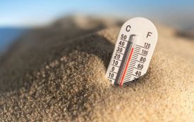 Травень ллє дощем, а влітку — спека до +40°C: синоптики попереджають про погодні гойдалки