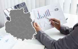 Майже 82 тисячі нових ФОПів відкрилися від початку року: скільки на Вінниччині?