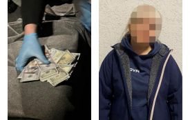 Вчителька з Вінниці за 16 000 доларів обіцяла відправити ухилянта до Молдови