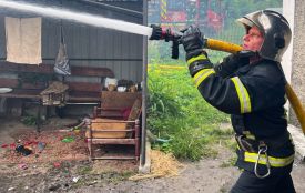 Смертельна пожежа у селі Борівка: вогонь забрав життя 76-річної жінки