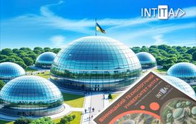 У Луці-Мелешківській побудують університет майбутнього «INTITA»: інтерв’ю з ректором Романом Мельником