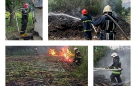 Гектари землі горіли на Вінниччині: за добу сталося 14 пожеж