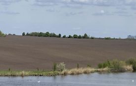 Орали землі біля водойм: екоінспекція виявила серйозні порушення у Самгородоцькій громаді