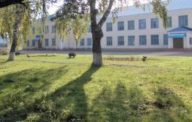 Незаконна оренда. Ямпільський ліцей повернув приміщення вартістю пів мільйона гривень