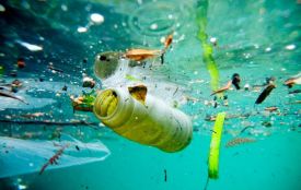 Хлороформ, амоній і залізо знайшли у воді жителів Вінницького регіону