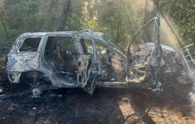 Смертельна ДТП під Жмеринкою: 43-річний водій загинув на місці, пасажир — у лікарні