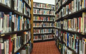 Роль художньої літератури у формуванні емоційного інтелекту: огляд ключових книг (Новини компаній)