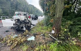 Жахлива ДТП біля Щіток: водій KIA в’їхав у дерево, є загиблі. ОНОВЛЕНО