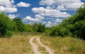 Антициклон над Україною: Вінниччина зустріне 3 серпня безхмарним небом