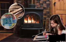 Готуй дрова влітку: як легально придбати деревину на зиму вже зараз