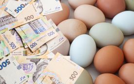 У кого найдорожчі яйця: аналіз закупівель у громадах Вінниччини
