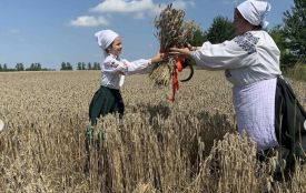 «Йшла у поле Гандзя жати, та забула серп узяти»: як у Сьомаках вивели на жнива дорослих і дітей?