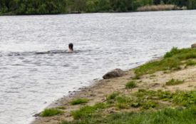 У воді на пляжах знайшли кишкові бактерії та яйця аскарид. Де купатися небезпечно