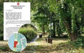 Сквер на Гонти заріс бур’янами. Що тут планували і хто за це відповідає?