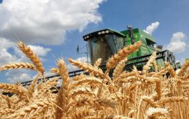 Аграрії Вінниччини зібрали рекордний урожай: намолотили 2,4 мільйона тонн зерна