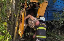 Вантажівка з'їхала в кювет і врізалася в дерево: водія визволяли рятувальники