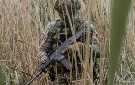 Покровський, Сіверський, Новопавлівський: назвали найгарячіші ділянки фронту