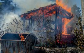 За добу сталося 19 пожеж. Рятувальники ліквідували загоряння на понад семи гектарах