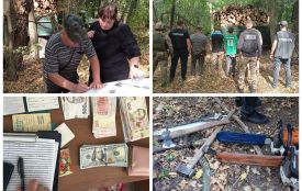 Масштабна вирубка дерев на заповідній території Вінниччини: затримали «чорних лісорубів»