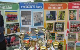 День фізичної культури і спорту у Вінниці відзначили дитячим забігом і виставкою ДЮСШ