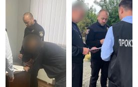 Збитки на мільйони. У парку «Кармелюкове Поділля» незаконно рубали дерева
