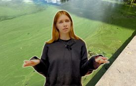 Сморід, мертва риба і смішні штрафи. Хто найбільше забруднює Південний Буг?