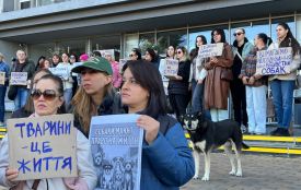 «Собак били перед смертю»: у Вінниці відбулася акція через отруєння тварин біля лікарні Пирогова