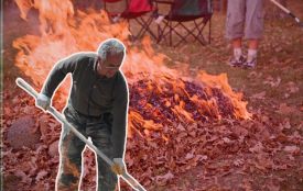 Спалювання листя у Вінниці: чим небезпечний дим і які за це штрафи