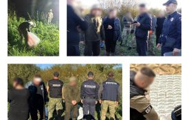 Прибуток 500 000 на місяць. Викрили групу, яка вирощувала коноплі та синтезувала амфетамін