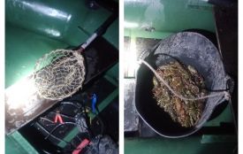 Браконьєрський улов на 603 000 гривень. На річці Згар піймали чоловіків, які добули 181 рака