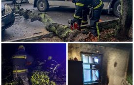 Дерево впало на авто на Коріатовичів, а в селі Білки згоріла хата