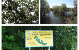 Земля на 105 мільйонів. Облрада незаконно віддала 1073 га заповідника мисливцям?