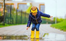 Сьогодні вітаємо Вероніку та Степана. Історія, заборони та прикмети 4 жовтня
