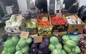 У Щітках пройшов осінній сільськогосподарський ярмарок: що продавали та коли наступний
