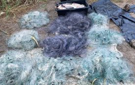 На Вінниччині спіймали браконьєрів, які виловили понад 180 раків