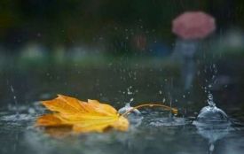 Дощова субота та вітряна неділя: синоптики розповіли, чого чекати вінничанам