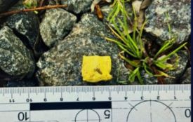 За «закладки» — 10,5 років тюрми. Суд покарав вінничанина за торгівлю амфетаміном