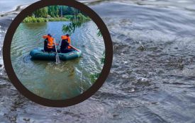 Чоловік загинув у ставку села Верхівка