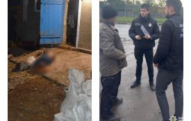 Помста за «цькування». Як гвинтівка у лісі допомогла розкрити вбивство 2022 року