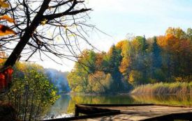 Кого вітаємо та що святкуємо. Історія, заборони та прикмети 26 жовтня