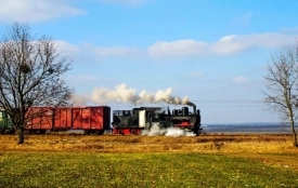 «Гай гуде 2025»: у Гайвороні влаштовують залізничну подорож у часі для всієї родини