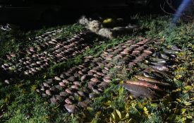 Незаконний улов на річці Мощанка: браконьєр витягнув риби на понад 700 тисяч гривень