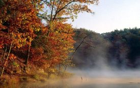 Готуйтеся до холодного ранку — заморозки і туман накриють Вінниччину