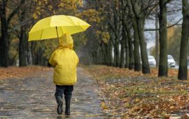 Вінниччину накриє циклон з Північного моря: дощі та поривчастий вітер уже на підході