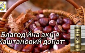 У Вінниці оголосили благодійну акцію «Каштановий донат» задля допомоги військовим